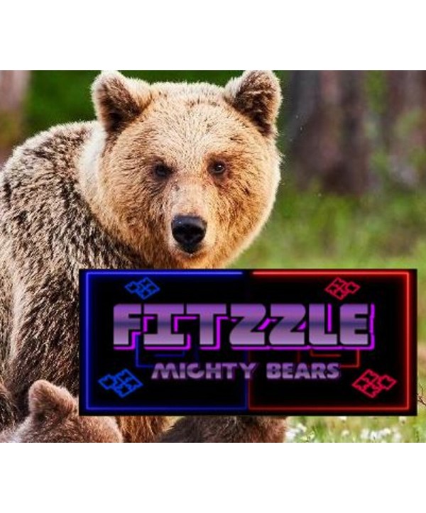 Fitzzle Mighty Bears Steam Key GLOBAL